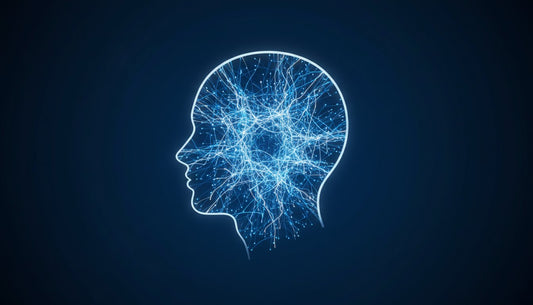 How to Increase Memory: 5 Science-Backed Strategies to Sharpen Your Mind