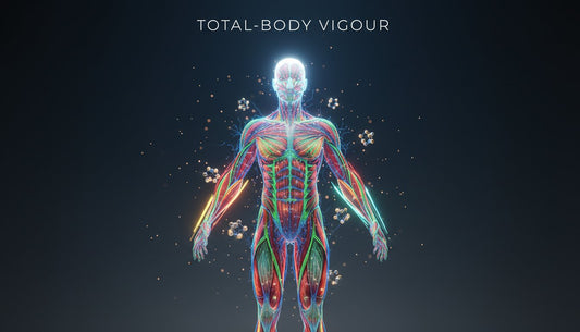 What Does Creatine Monohydrate Do? The Science of Total-Body Vigour